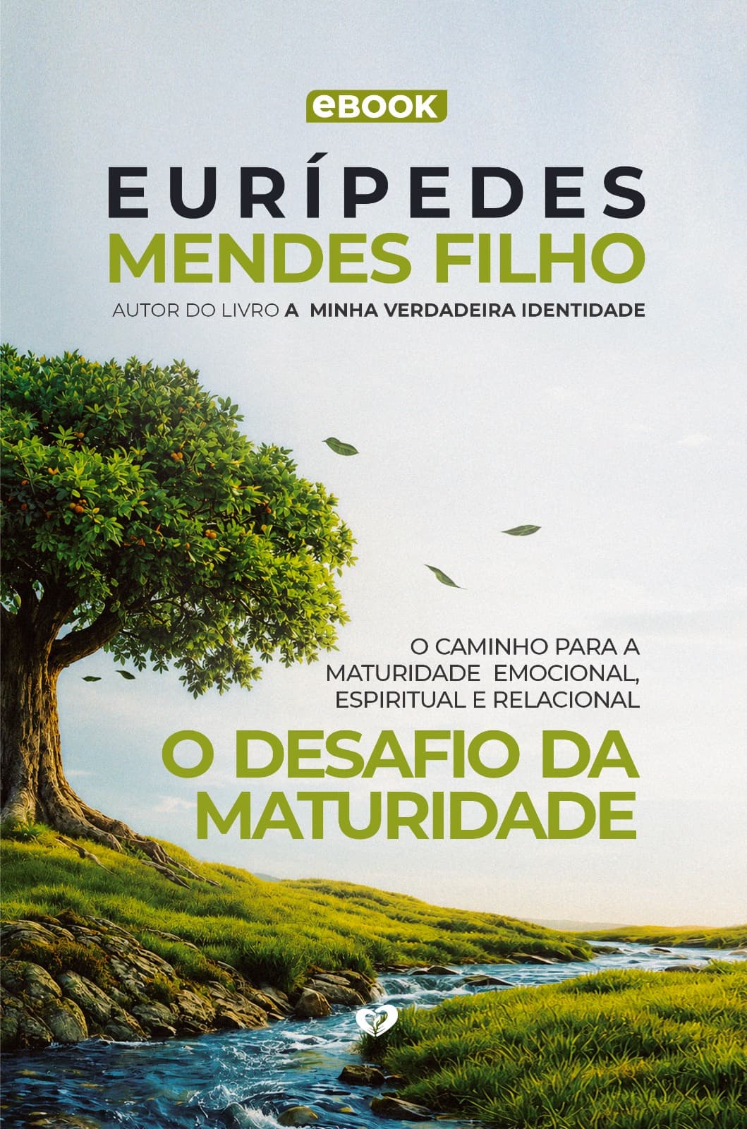 O Desafio da Maturidade